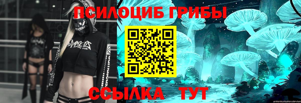 Галлюциногенные грибы прущие грибы Изобильный